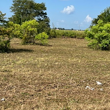 Professional-Commercial-Bush-Hogging-in-Clarksdale-MS 4